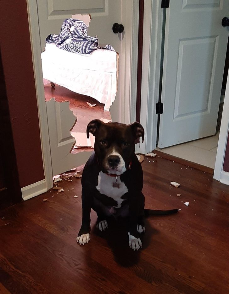 bb3c12507b9bc2ee1d6bf655c9