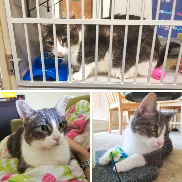 bb3f8a554487a5180621365246