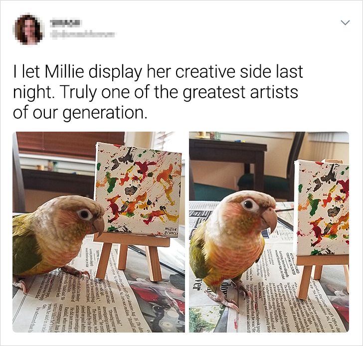 bb43c05bbcab24a919e64a4f36