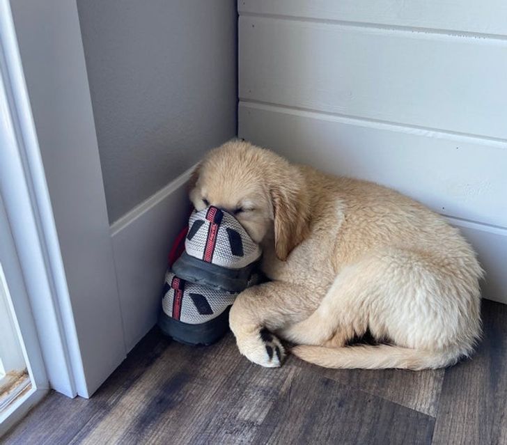 bb443859719362b445ae664cb6