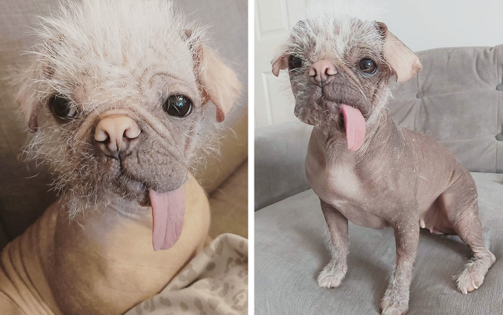 bb4dd05c009e1b83756b87ef15