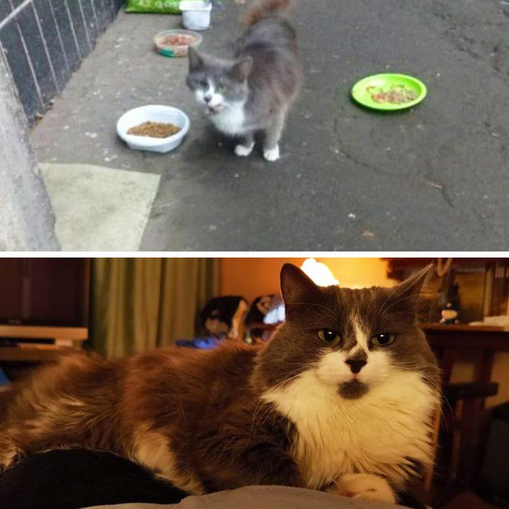 bb4e2f5e1a9775220329f59467