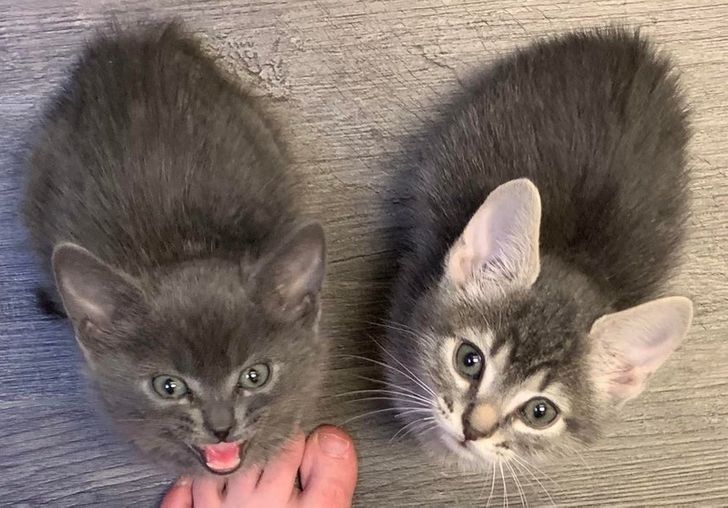 bb4fd3549895bf4561d42a2d4d