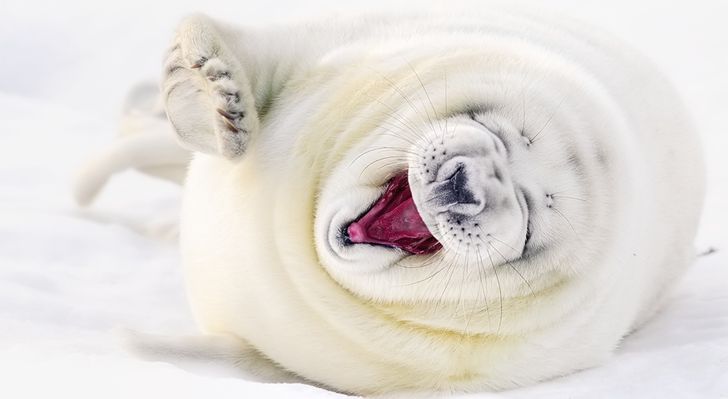 bb55b35d7aa305c0ec8651b1dc