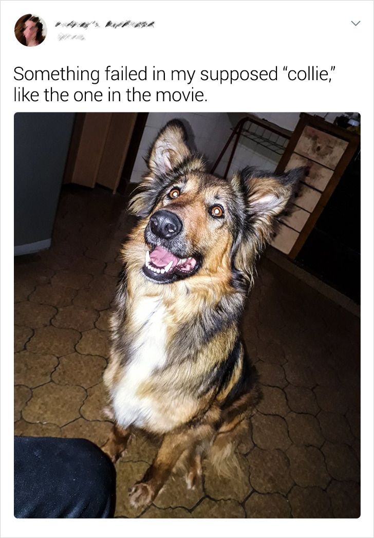 bb6bcd52e283e63baf8fc146b1