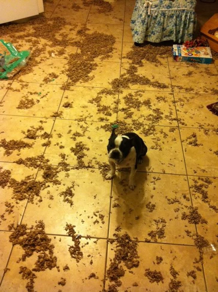 bb760e5a9f871f880e099e2d17