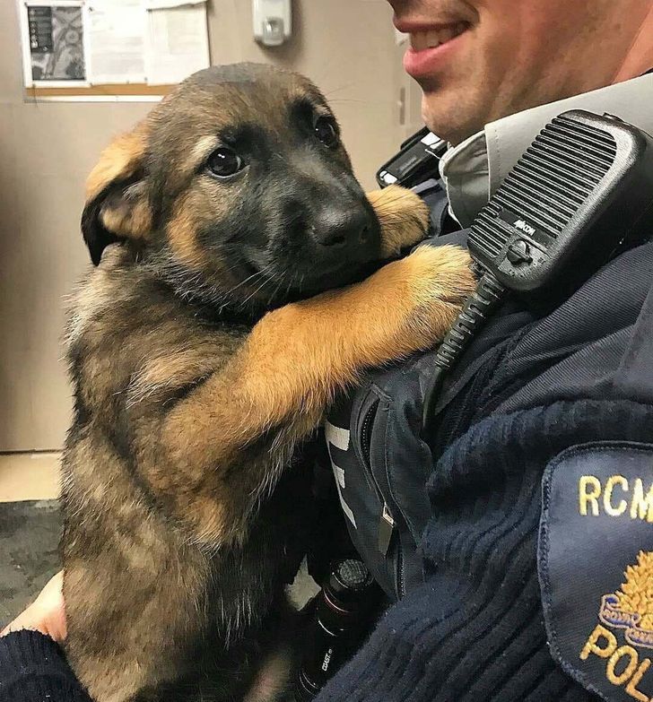 bb767459c18681235d36d7ff10