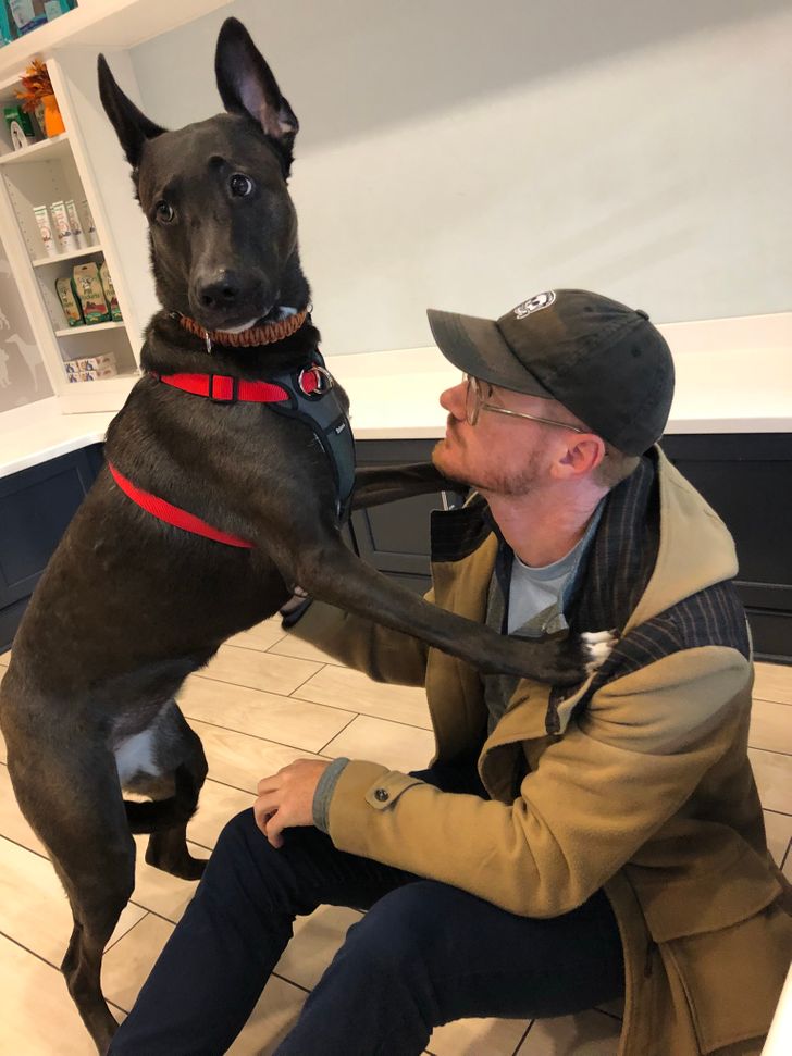 bb785a5f3097e0940fa0805ba8