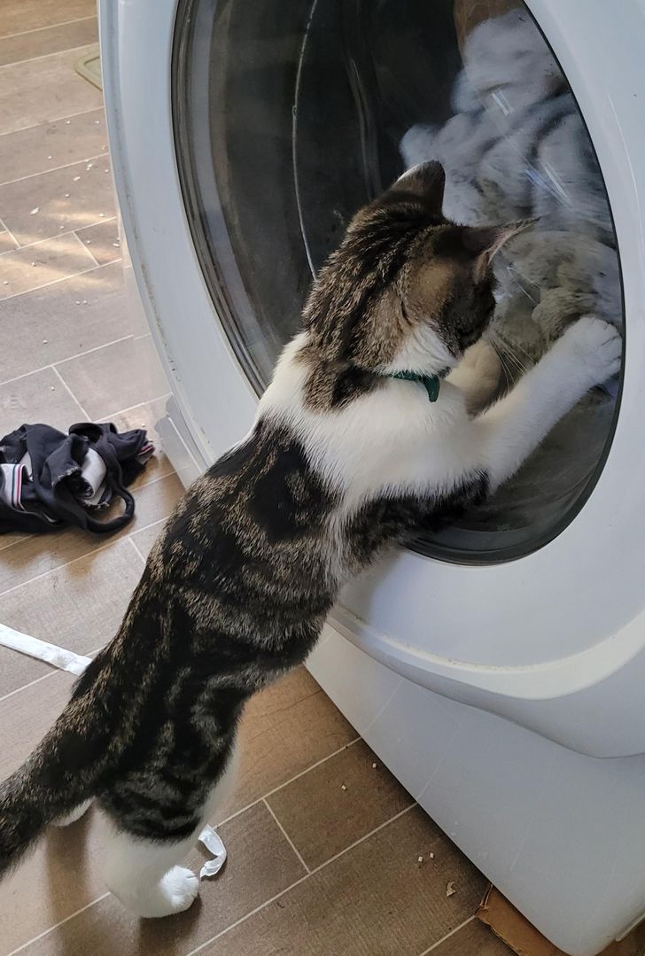 bb7d545582900f2161439ce229