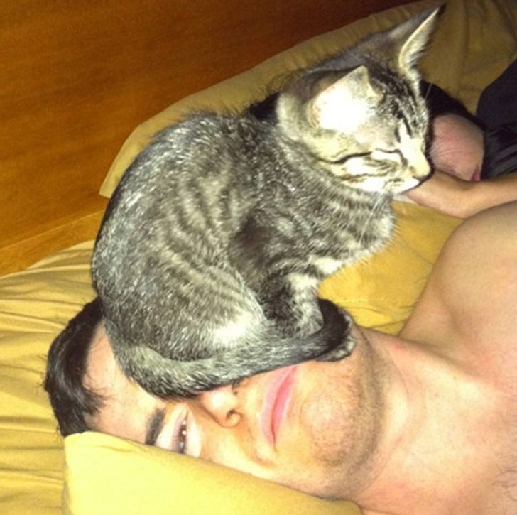 bb846654c6a1b3acf7713e0b28