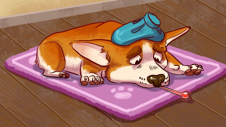 bb86cf55dda692fb1ac0db1d04