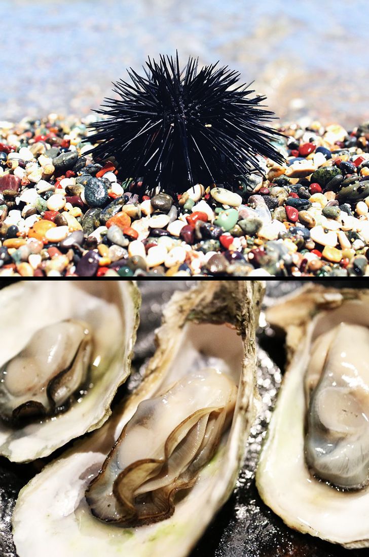 bb8b455070bce508b039a8efd9