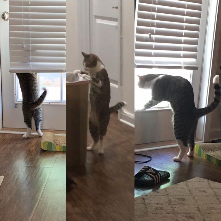 bb8b7857368f9680d3da321c89