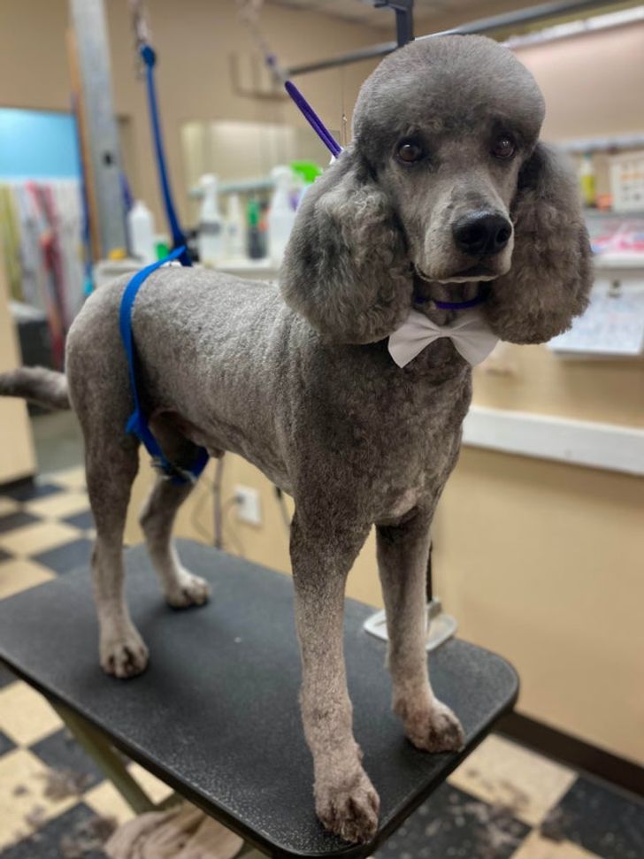 bb8c8354519987cfdab102c3e5 bb8c8354519987cfdab102c3e5