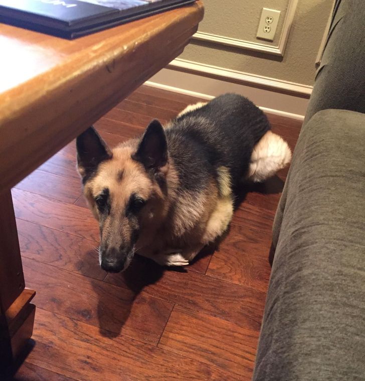 bb965359fa8e375d961a15063a bb965359fa8e375d961a15063a