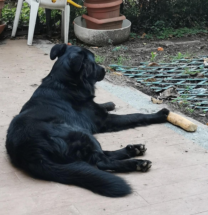 bb98485baa9ad5e5f2ee41218c