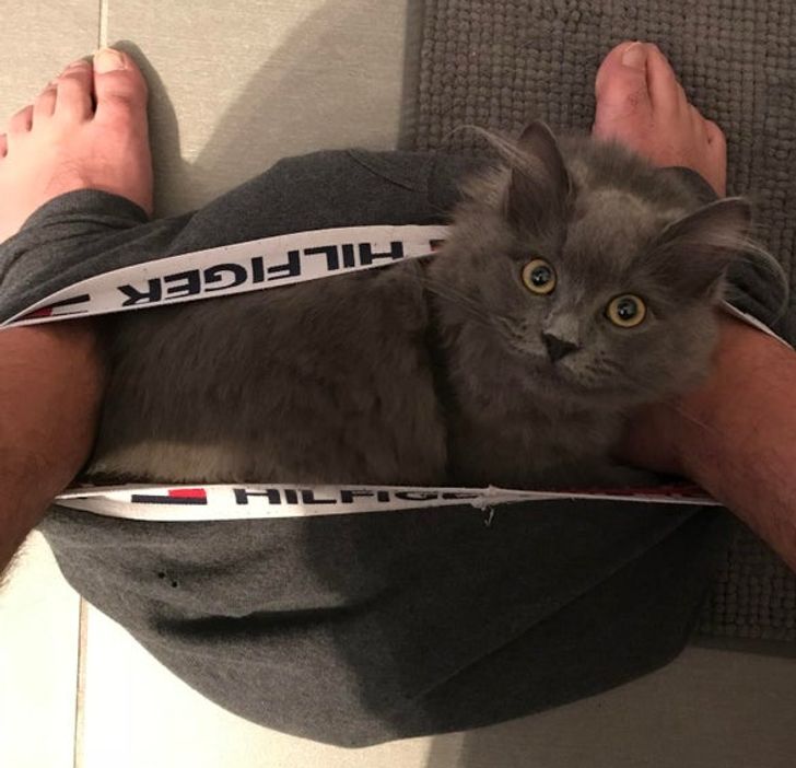 bb9af25312914eaef62e8d2d38