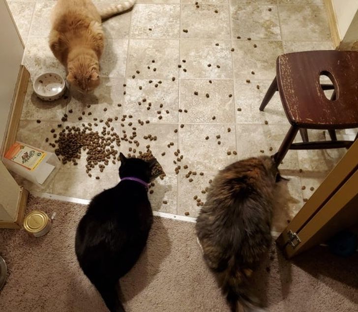 bb9b81510e9106d306473ff8fe