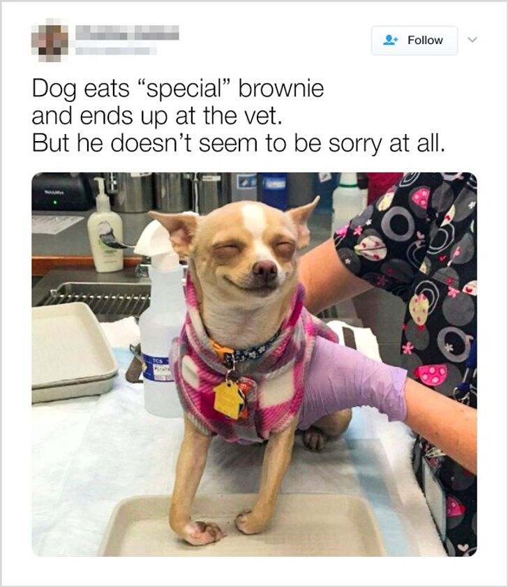 bba1d85fe595e8391653e27409