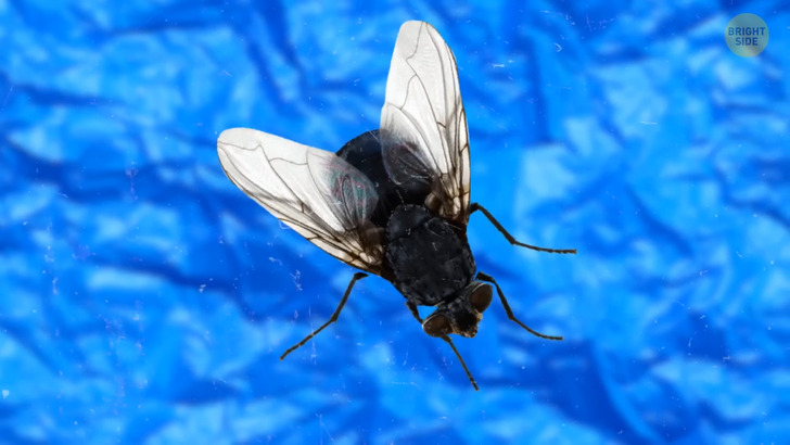 bba8505de8b3da43308d37a4d4 bba8505de8b3da43308d37a4d4