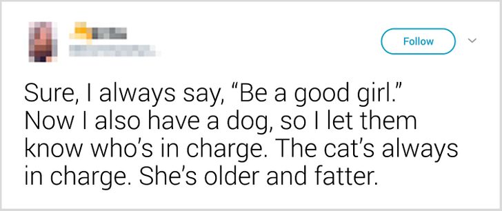 bbaa815a6f904617be8d42d202