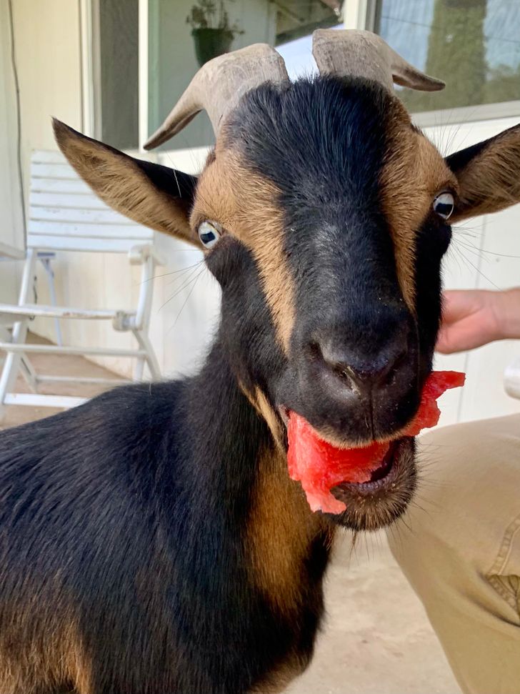 bbae965609a2efbc7227c596a3