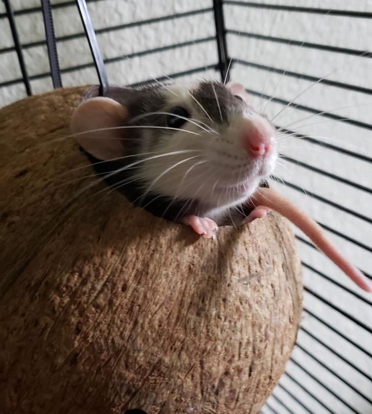 bbaeac5fa7b67fd2941d326cfc