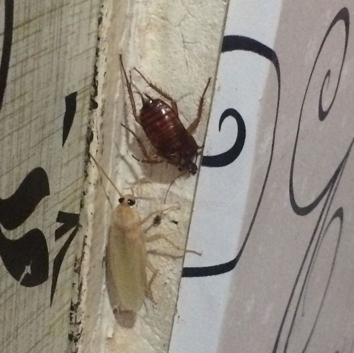 bbb4635d9197b6560edb1645b3