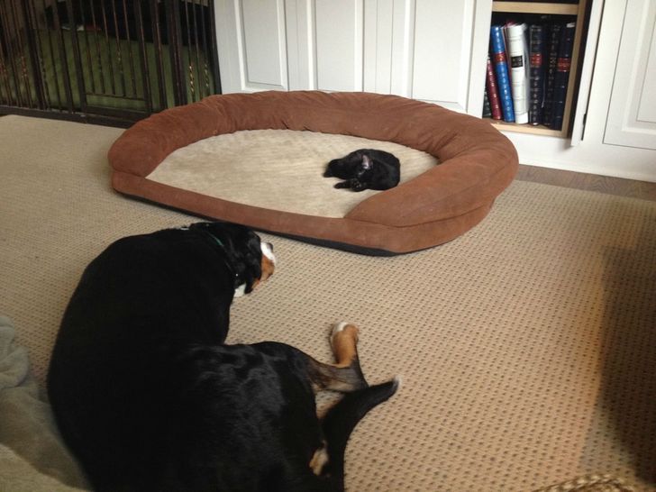 bbb96c5c46a63968a509a75f99