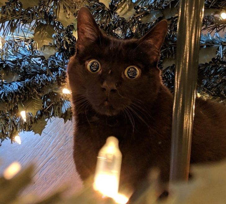 bbbb8559ffac1426d61ba2048d