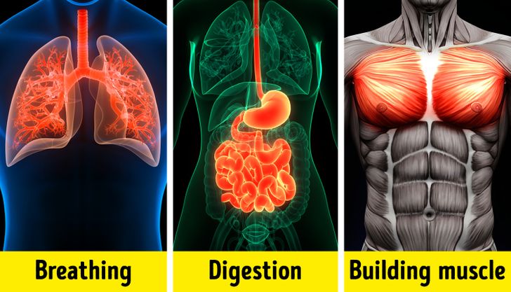 bbbeb15c27a47f688826852578