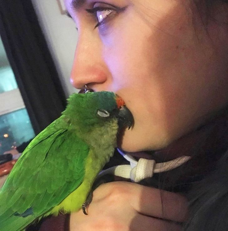 bbbebe50a89dbb2e4674661b8c