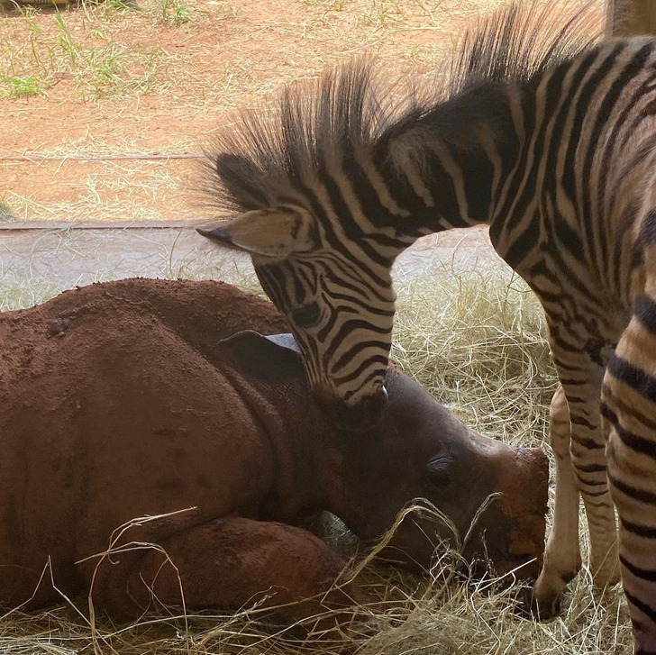 bbc0d1522ca74c19a5621fbe7d