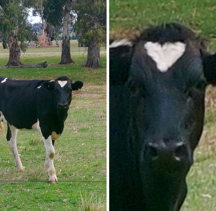 bbc52b5c7d9a6c524980701456