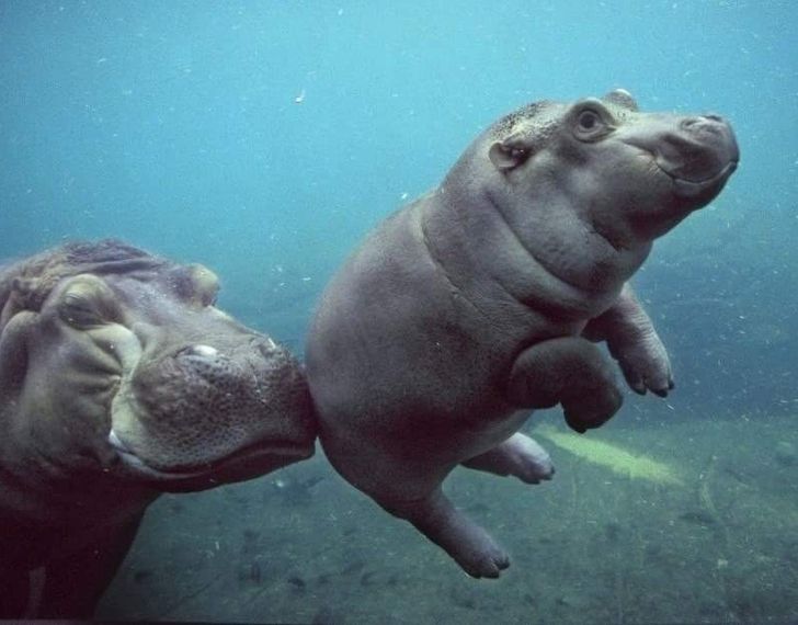 bbd0395931988c2a9b673478fe