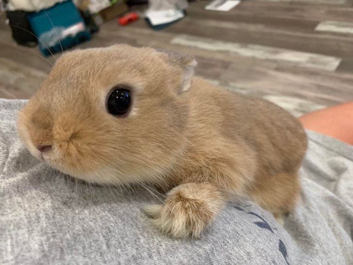 bbd92c516f9360b0007e64a25e