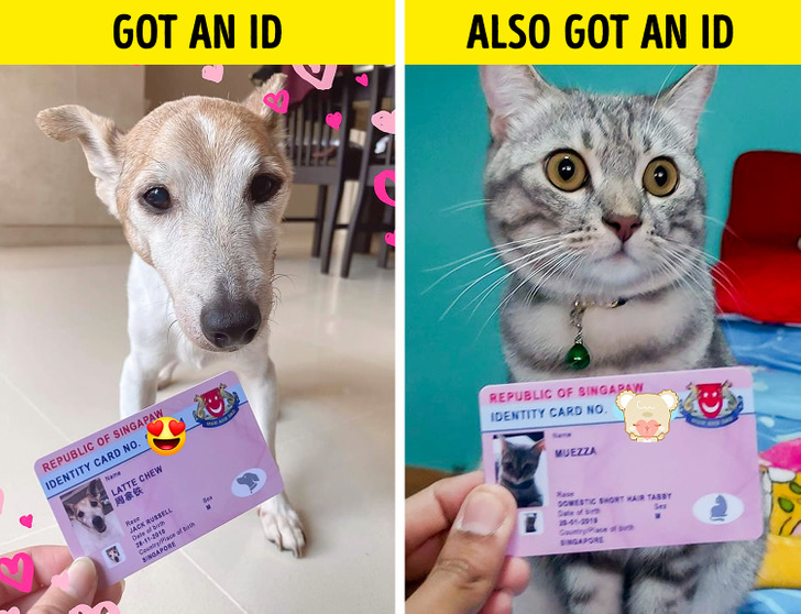 bbdc225eb58ad4cb283346a45a