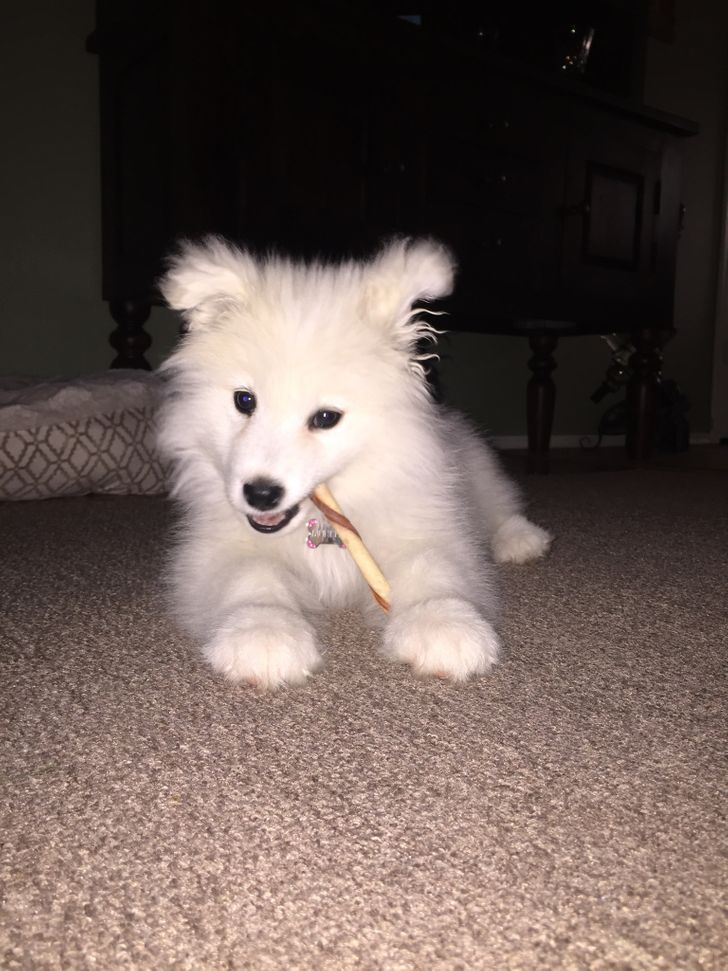 bbdd85502aa9c46f7548409b65