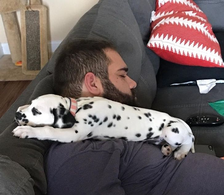 bbe33c547ba93583cb96fc35af