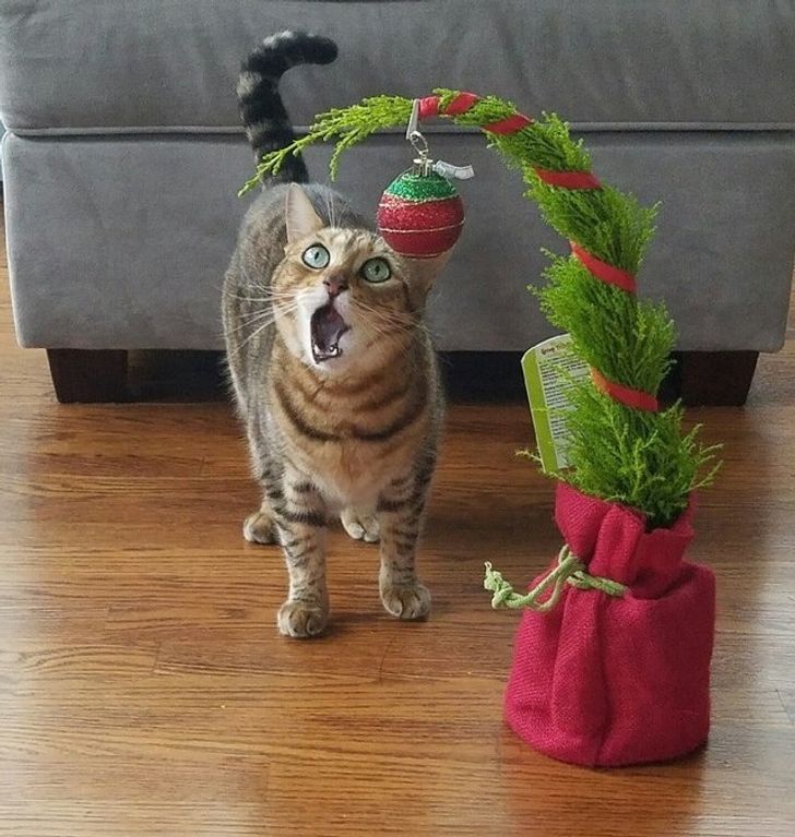 bbf36a589e912f8d473a16480d