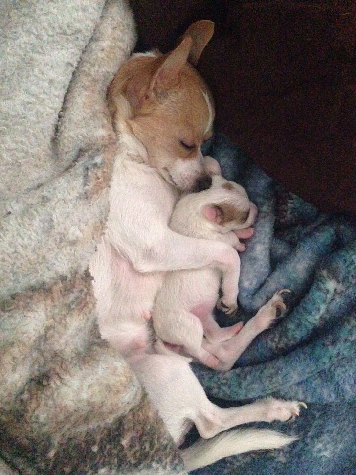 bbf4b85a8284d5c6f823caa65f