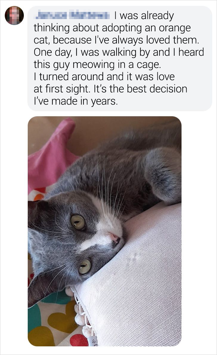 bbfb6a5e3a9db73d5da0393e82