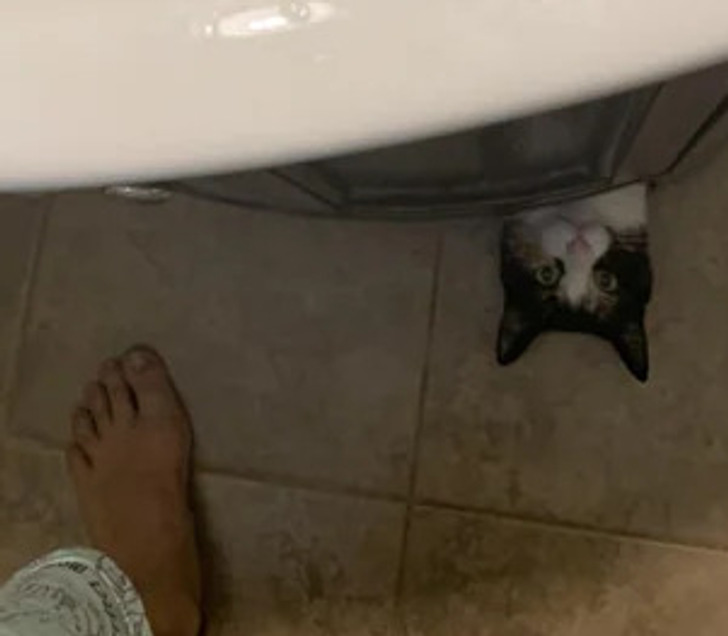 bbfc6659e7b9406ed62f00daca bbfc6659e7b9406ed62f00daca