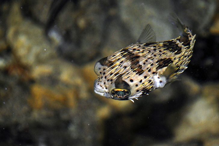 bbfd985a6f822a5b88879422e2