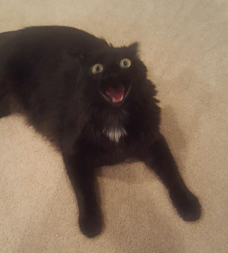 bc0bf15609b47745ad93fa3d58