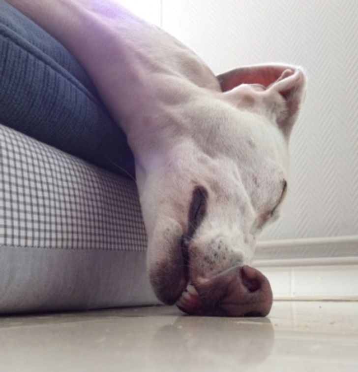 bc0d68561784fc5c25f6286922