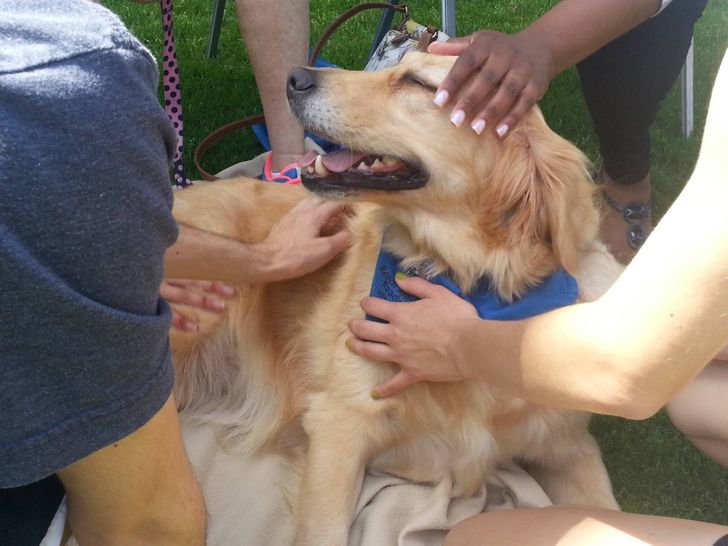 bc0eba59bd9c1d2dfcadbc228f