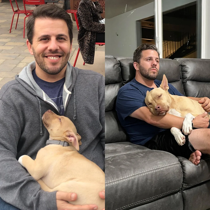 bc0f0e50088dc89a59ea45f061