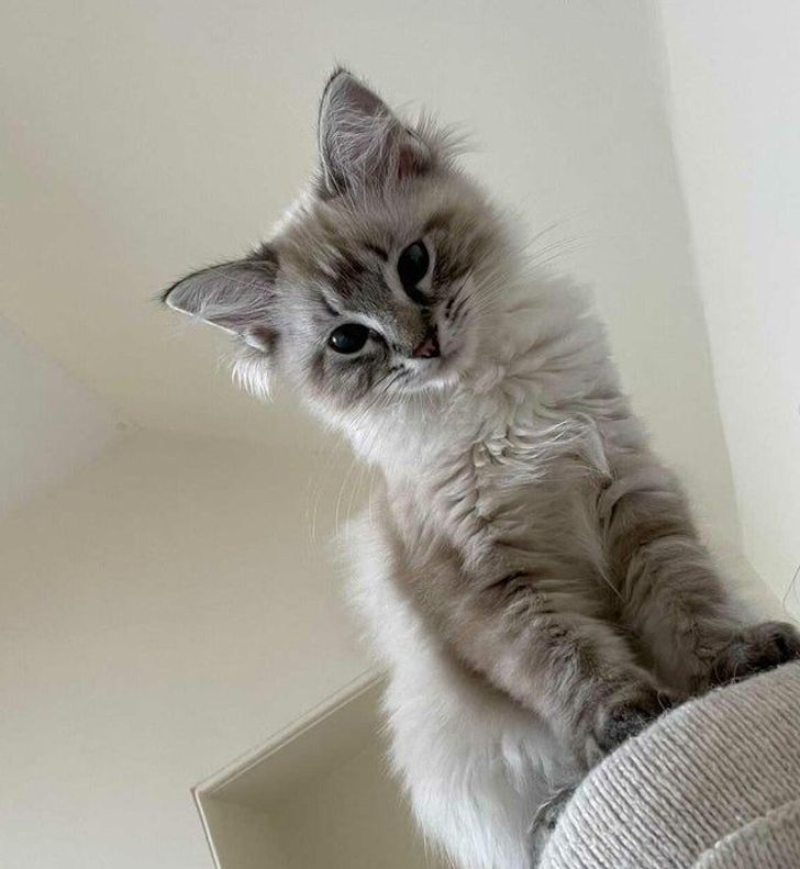 bc0fe45dfd94cd8b0545224326