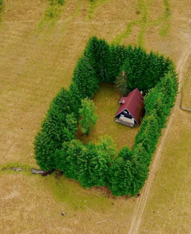 bc10e05495889e77e37f220c35